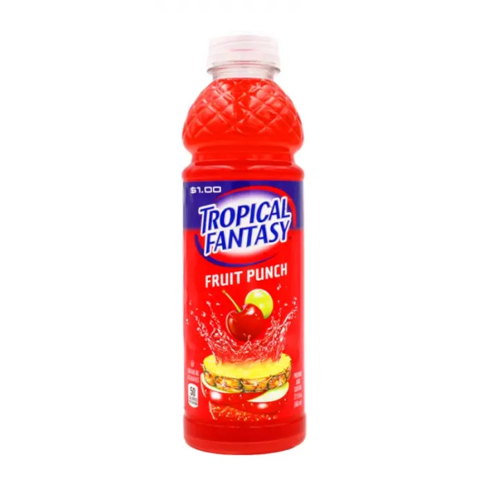 Tropical Fantasy Fruit Punch 24x591ml