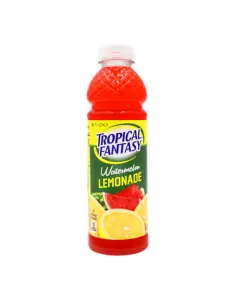 Tropical Fantasy Watermelon Lemonade 24*591ml