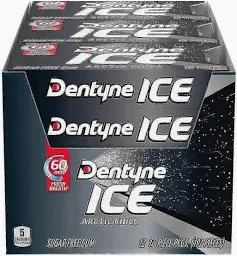 Dentyne Ice Artic Chill Gum - 10 CT