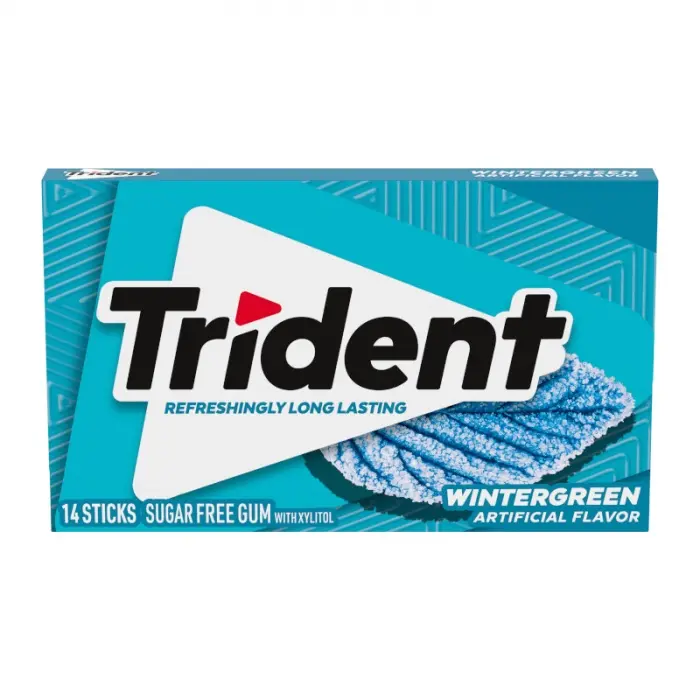 [TW] Trident Wintergreen Gum 12x14pcs