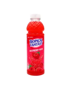Tropical Fantasy Raspberry Rush 24x591ml