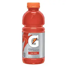 Gatorade Fruit Punch 24x591ml