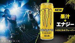Monster Energy Ripper Japan 24x355ml