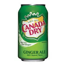Canada Dry Ginger Ale 24x355ml