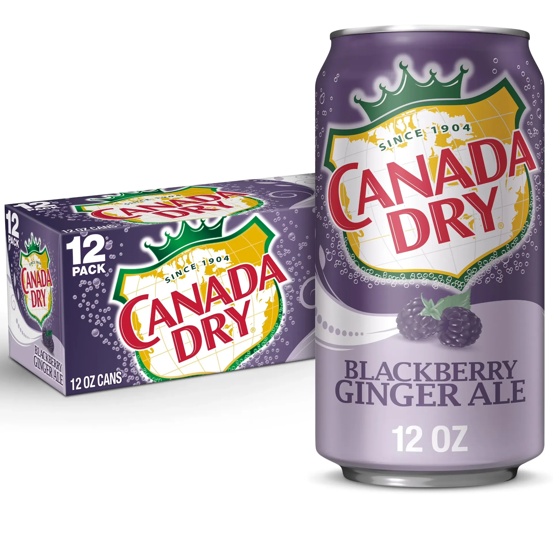Canada Dry Blackberry Ginger Ale 24x355ml