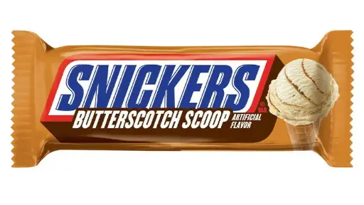 [SPBB] Snickers Butter Scotch 24x39g