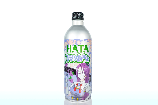HATA KOSEN Surprise Awawa Blueberry Metal Bottles 24x500ml